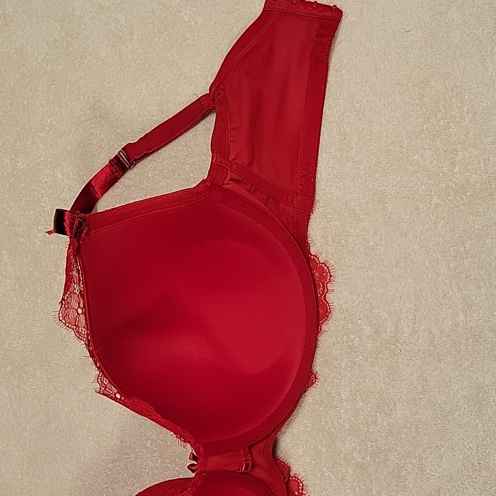 Elegant Red Lace Bra - Picture 7 of 12